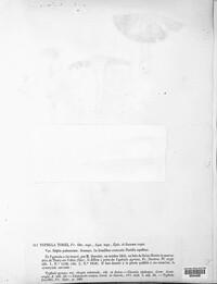 Image of Typhula todei